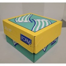 Moduli continui "CARTA BIANCA" Form 60 g/m² piste staccabili senza stampa scatola da 2000 moduli - 11040118