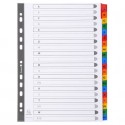 Intercalari stampati in digitale Exacompta Protect'o cartoncino A4 160g/mq 20 tasti AZ - 1111E (Conf.10)