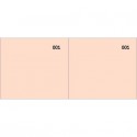 Scontrino colorato a 2 sezioni Data Ufficio blocco 100 copie prenumerate rosso - DU160000020 (Conf.10)