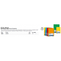 Divisore FAVINI Dividerello 20 tasti raccoglitori 10 col. assortiti 22x30cm 220 gr/mq  Conf. 20 pezzi - A56Y304