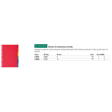 Separatore per archivio con perforazione universale Q-Connect 24x30 cm 230 g/m² assortiti  conf. da 100 - KF00642