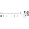 Intercalari stampati in digitale Exacompta Protect'o cartoncino A4 160g/mq 20 tasti AZ - 1111E (Conf.10)