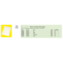 Cartellina a L Q-Connect ppl A4 trasparente opaco conf. da 100 - KF00310