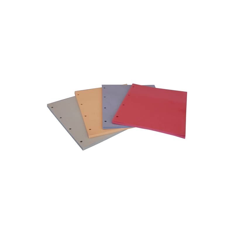 Divisori in cartoncino Manilla con fori EURO-CART 23x30 cm rosso conf. da 100 pezzi DM04RO C/FORI_DESK