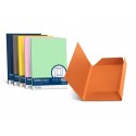 Cartellina 3 lembi Favini FOLDER 3L Luce&Acqua 200 g/m² 24,5x34,5cm giallo oro 52 conf.25 - A50H434