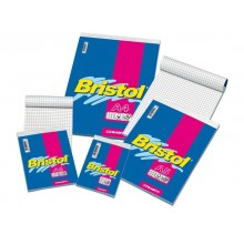 Blocco punto met. Blasetti BRISTOL copertina patinata 115 gr quad. 5 mm A4 21X29,7 cm - 1034 (Conf.10)