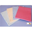 Divisori in cartoncino Manilla con fori EURO-CART 23x30 cm rosso conf. da 100 pezzi DM04RO C/FORI_DESK