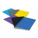 Quaderno Pigna Monocromo A5 - 80 g/m² - 40 ff - 4M - assortiti - 0221778-7 (Conf.10)