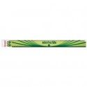 Riga ARDA Elastika plastica flessibile verde trasparente 50cm EL50 (Conf.10)