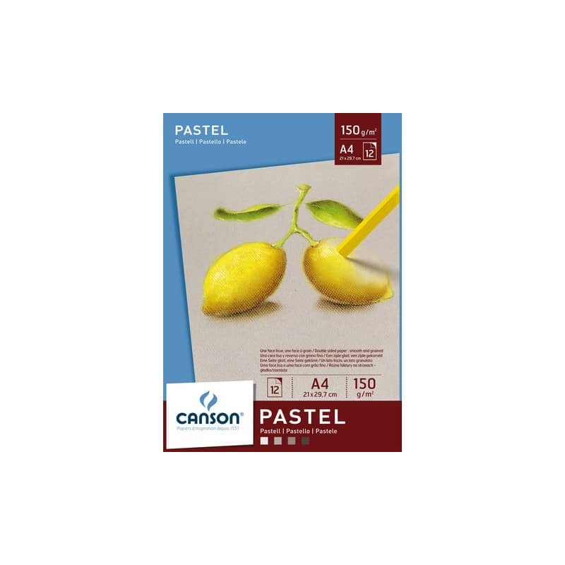 Blocco collato lato corto CANSON Dessin Couleur bianco, nero, grigio chiaro 150 g/m² 12 fogli A4 - C400041762