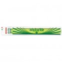 Triplo decimetro ARDA Linea Elastika plastica flessibile verde trasparente 30 cm - EL30P (Conf.10)