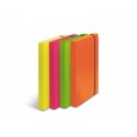 Scatole portaprogetti Leonardi Fluo dorso 3 cm PPL assortiti conf.4 - 1028101