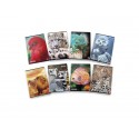 Quaderno 42 fogli PIGNA Animal A4 a righe 0C con margine assortiti 02330130C (Conf.10)