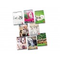 Quaderno 42 fogli PIGNA Dolci Cuccioli A4 a quadretti 4M assortiti 02330174M (Conf.10)