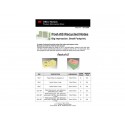 Foglietti Post-it® Notes in carta riciclata assortiti pastello conf. Torre da 24 blocchetti da 100 ff - 653-1RPTN