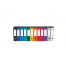 Registratore con custodia Esselte G55 Eurofile protocollo dorso 8 cm cartone rivestito in PP verde - 390755180