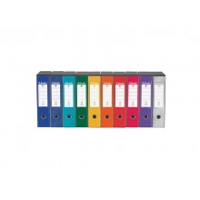 Registratore con custodia Esselte G55 Eurofile protocollo dorso 8 cm cartone rivestito in PP verde - 390755180