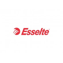 Cartelle a 2 lembi Esselte I56 DELSO LINE 6/I51 bianco/grigio 25x32 cm dorso 3 cm 6 cartelle - 390956040