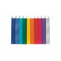 Raccoglitore Esselte Meeting a 4 anelli tondi 30mm cartone rivestito in PP blu metallizz. 22x30cm dorso 4cm - 395792960