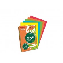 Carta colorata A4 Sylvamo Rey Adagio 80 g/m² colori forti - Risma da 500 fogli - ADAGI080X909