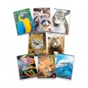 Quaderno 42 fogli PIGNA Animal A4 a righe 0C con margine assortiti 02330130C (Conf.10)