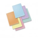 Quaderno 42 fogli PIGNA Monocromo Pastel A4 a quadretti 4M assortiti 02298904M (Conf.10)
