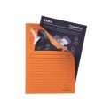 Cartelline con finestra Exacompta Forever® A4 cartoncino 120 g/m² arancio conf. da 100 - 50104E