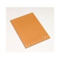 Maxi quaderno Pigna Monocromo Green A4 - 80 g/m² - 42 ff - C - copertine assortite - conf. 10 pezzi - 02309780C