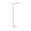Lampada piantana a LED dimmerabile Javal Maul bianco Z810041