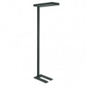Lampada piantana a LED dimmerabile Javal Maul nero Z810043