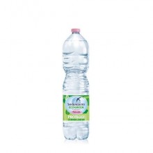 Acqua minerale 1,5 L Ecogreen San Benedetto naturale in conf. da 6 bottiglie - 1755