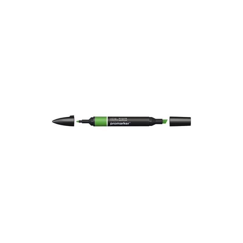Pennarelli Winsor&Newton Promarker doppia punta fine-larga - forest green G356 - 0203068