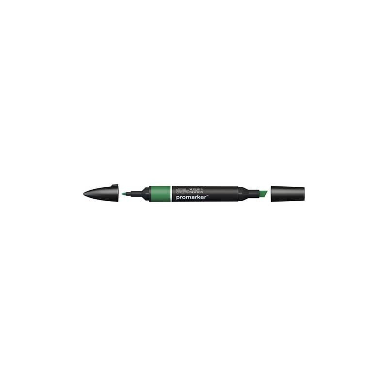 Pennarelli Winsor&Newton Promarker doppia punta fine-larga - verde pino G635 - 0203244
