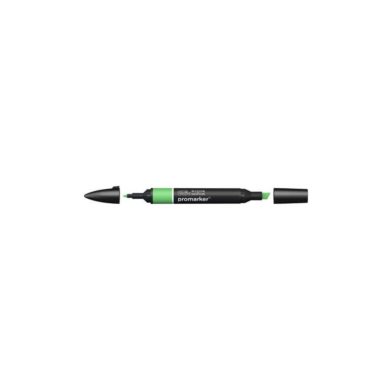 Pennarelli Winsor&Newton Promarker doppia punta fine-larga - grass G457 - 0203253