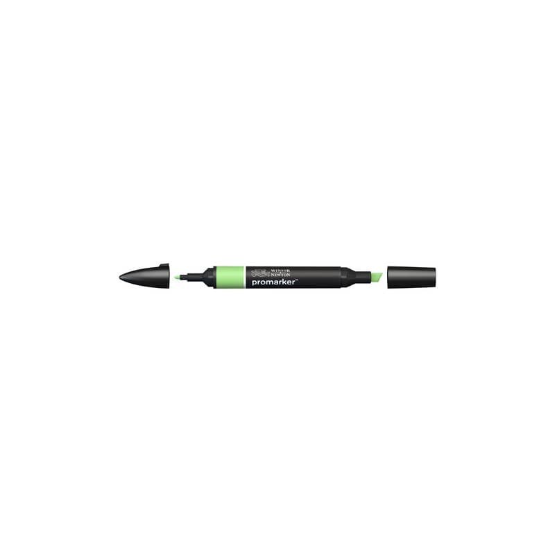 Pennarelli Winsor&Newton Promarker doppia punta fine-larga - apple G338 - 0203210