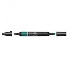 Pennarelli Winsor&Newton Promarker doppia punta fine-larga - holly G724 - 0203243