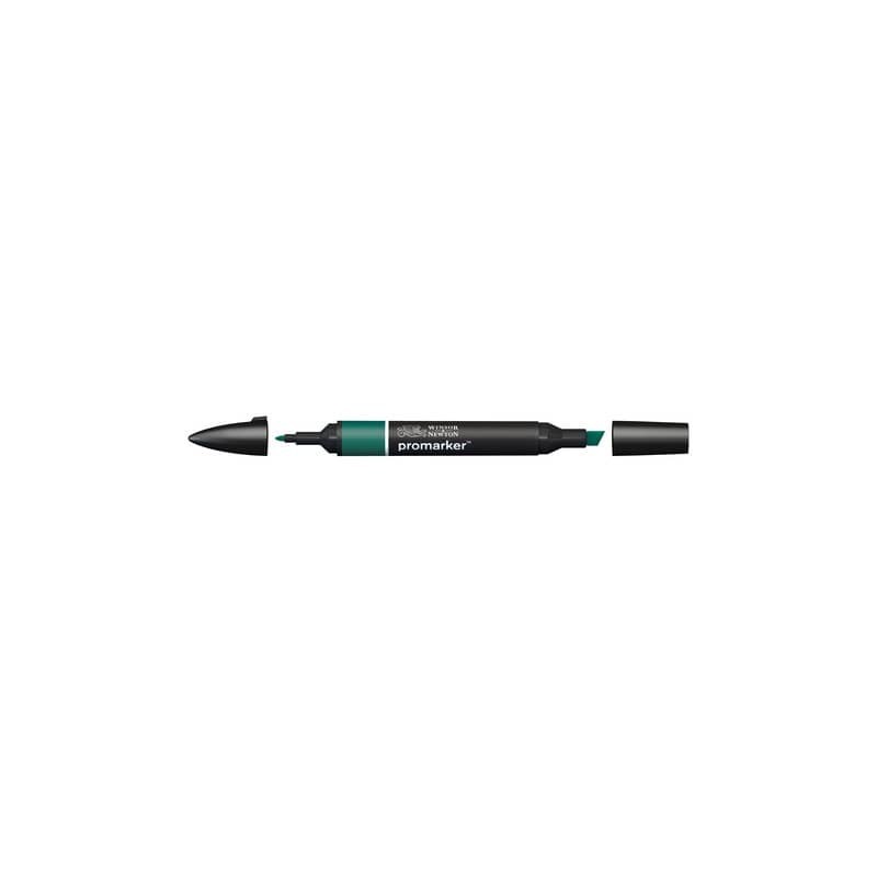 Pennarelli Winsor&Newton Promarker doppia punta fine-larga - holly G724 - 0203243