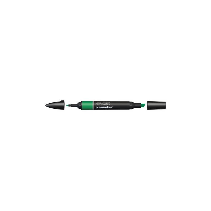 Pennarelli Winsor&Newton Promarker doppia punta fine-larga - lush green G756 - 0203228