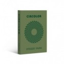 Carta colorata Favini Circolor 100% riciclata 80 g/m² A4 - risma da 500 fogli verde rosmarino - A71D524