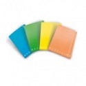 Cartella a 3 lembi con elastico Pigna Monocromo - A4 26x35,5x1,2 cm dorso 1,2 colori assortiti Fluo - 0227903 (Conf.6)