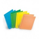 Raccoglitore ad anelli Pigna Monocromo - A4 27x32 cm 4 anelli Ø 30 mm colori assortiti fluo - 0227901 (Conf.5)