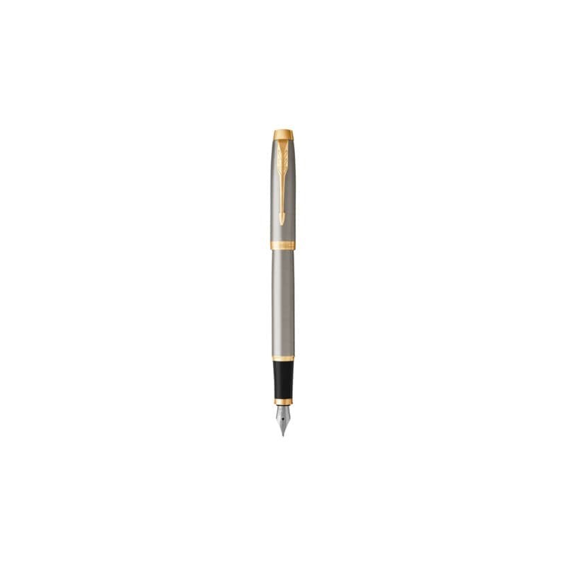 Penna stilografica Parker IM punta M inchiostro blu Brushed Metal GT - 1931656