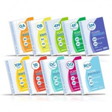 Ricambi rinforzati in PVC Blasetti per quaderni ad anelli A4 - 100 g/m2 - 40 ff 5 mm - 5442 (Conf.30)