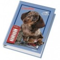 Raccoglitore ad anelli Blasetti - 4 anelli Ø 30 - 26x32 cm per fogli A4 - fantasie assortite Cuccioli - 4170 (Conf.6)