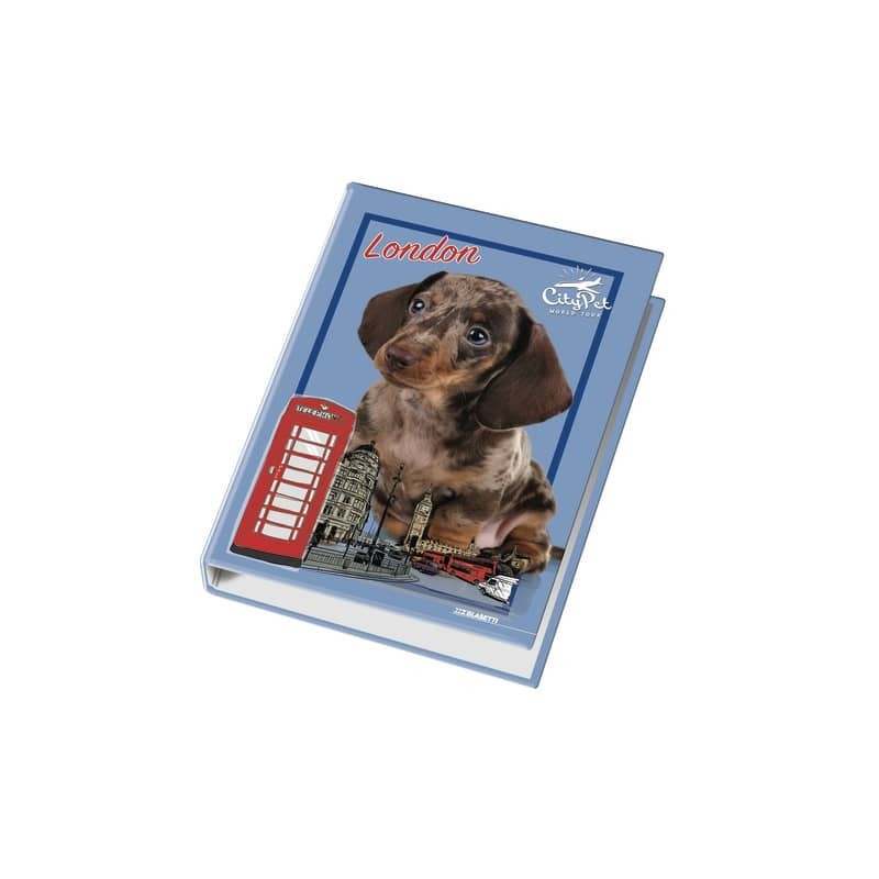 Raccoglitore ad anelli Blasetti - 4 anelli Ø 30 - 26x32 cm per fogli A4 - fantasie assortite Cuccioli - 4170 (Conf.6)