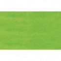 Carta velina Rex-Sadoch 50x70 cm conf. da 26 fogli verde chiaro - KV106371