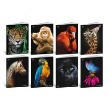 Maxi quaderno Blasetti Animali A4 - 100 g/m² - 18+1 ff - 4F - conf. 10 pezzi - 8629