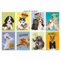 Maxi quaderno Blasetti Cuccioli A4 - 100 g/m² - 18+1 ff - 5M - conf. 10 pezzi - 8990