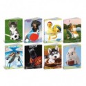 Maxi quaderno Blasetti Lovely Paws A4 - 100 g/m² - 18+1 ff - 10F - conf. 10 pezzi - 9286