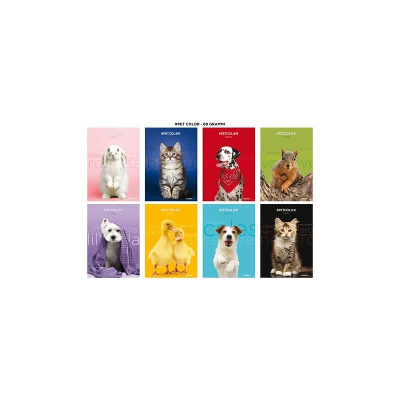 Maxi quaderno Blasetti Best Friends A4 - 80 g/m² - 20+1 ff - 5M - conf. 10 pezzi - 9219